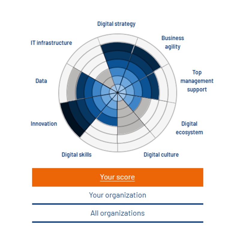 Digital Business Insights